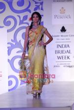 Model walks the ramp for Shane and Falguni Peacock at Aamby Valley India Bridal week DAY 3 on 31st Oct 2010 (50).JPG